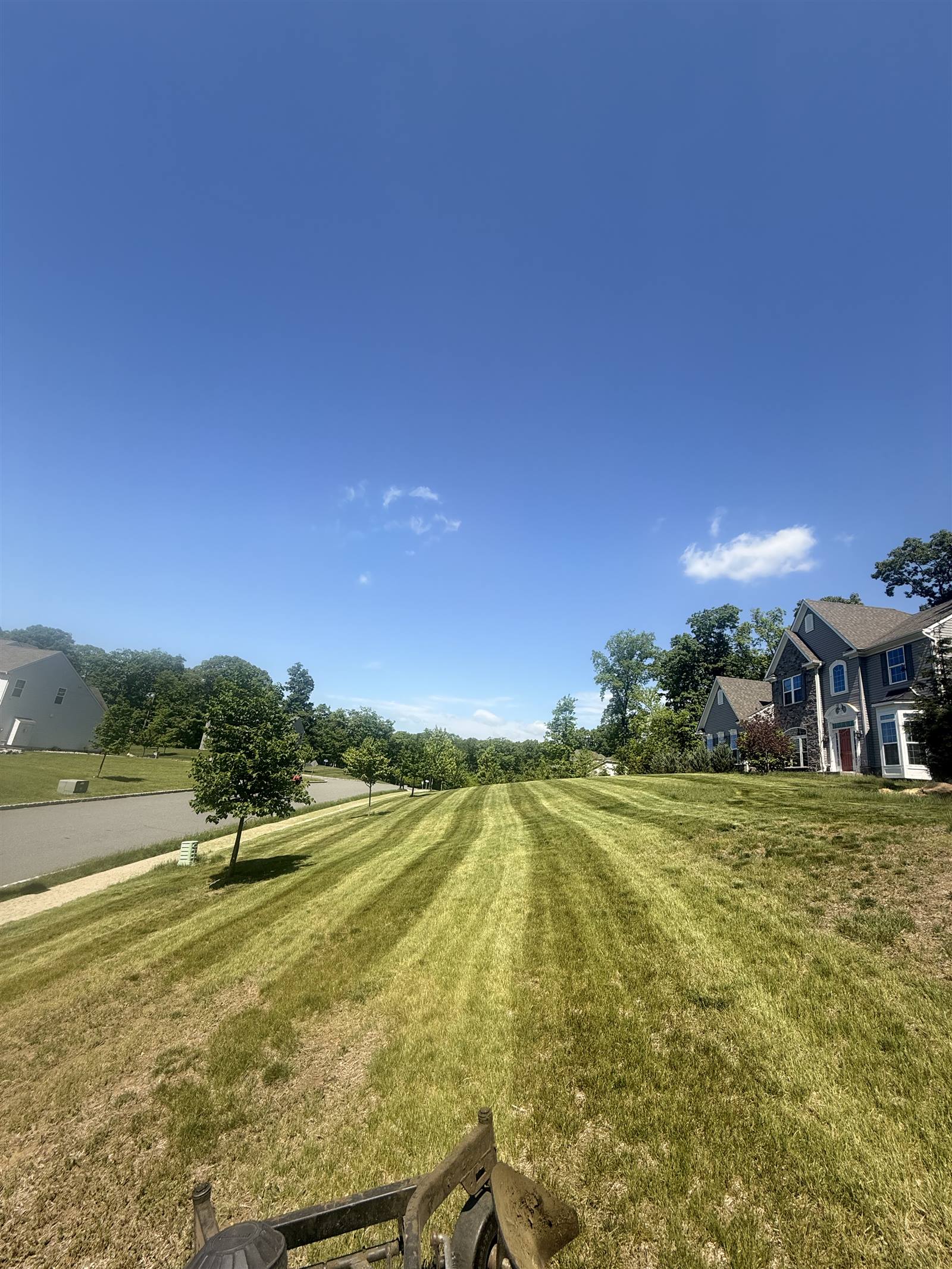 Wide open mowed lawn